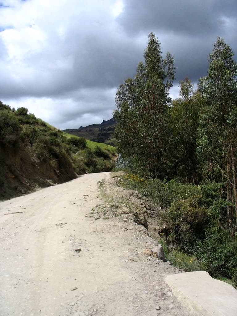 The road to the Amazon Jungle