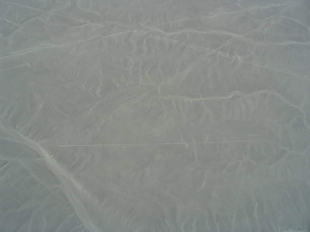 Nasca lines - the monkey