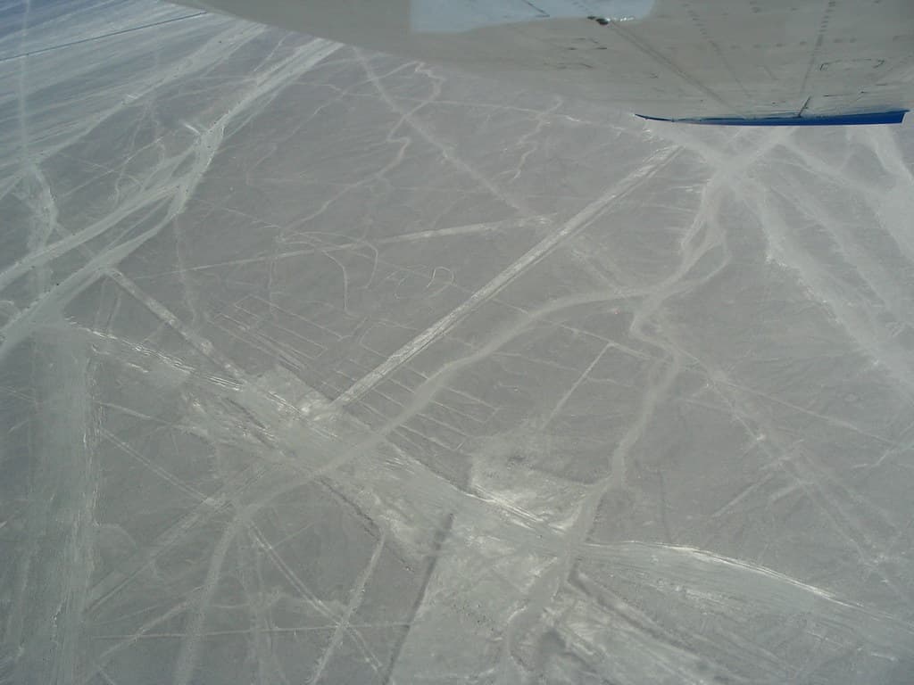 Nasca lines - The Parrot