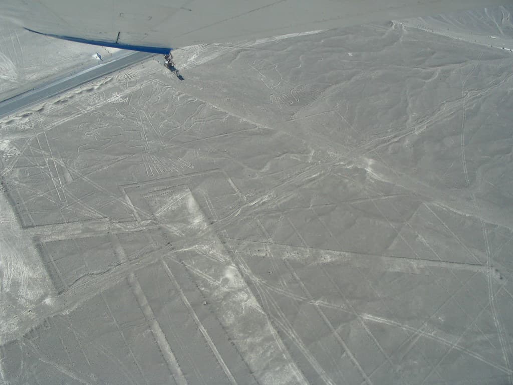 Nasca lines - the tree