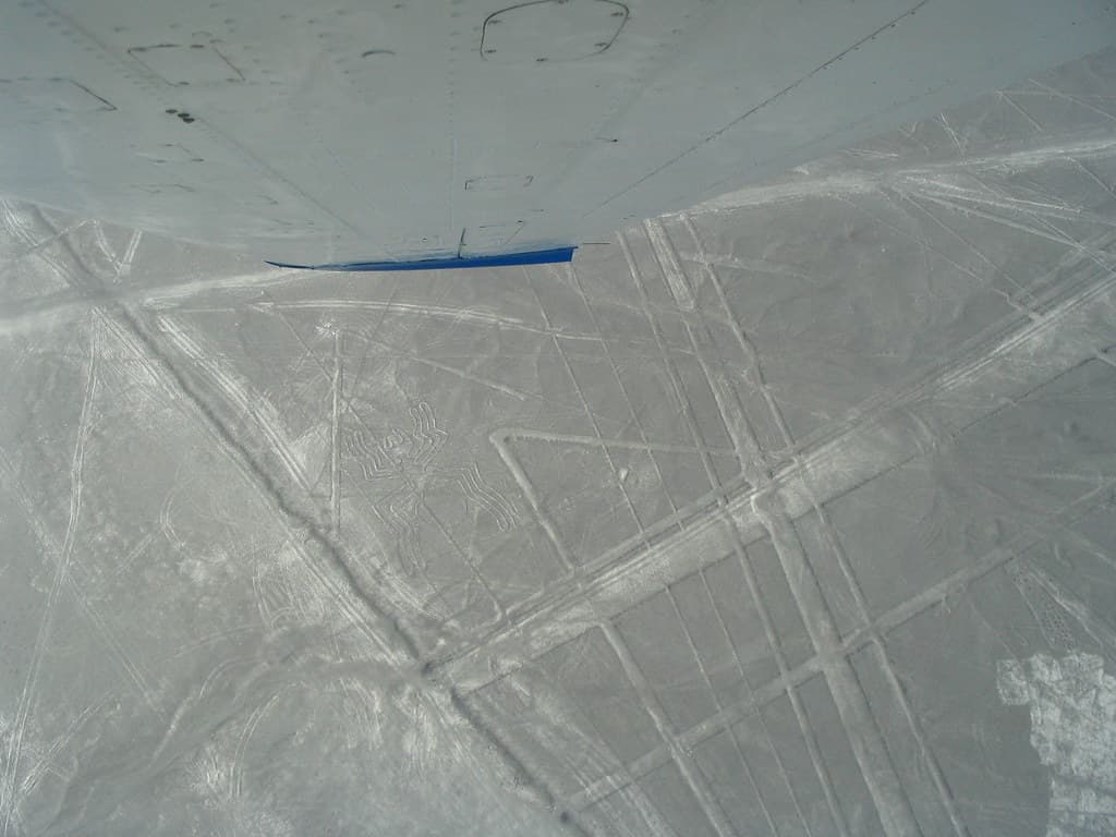 Nasca lines - Spider again